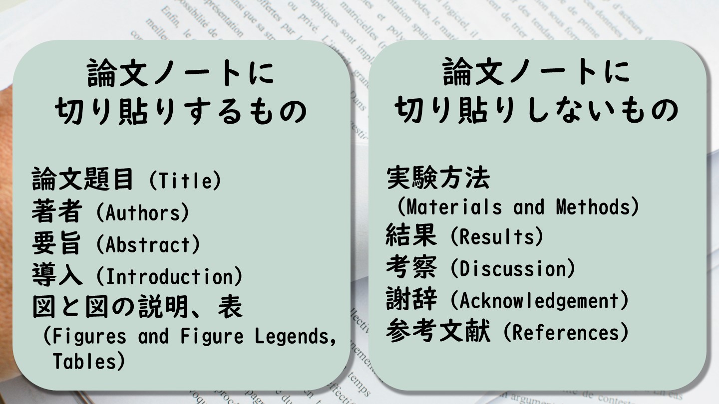 大学生が知っておくべき、英語論文の読み方とは？【教授が紹介する