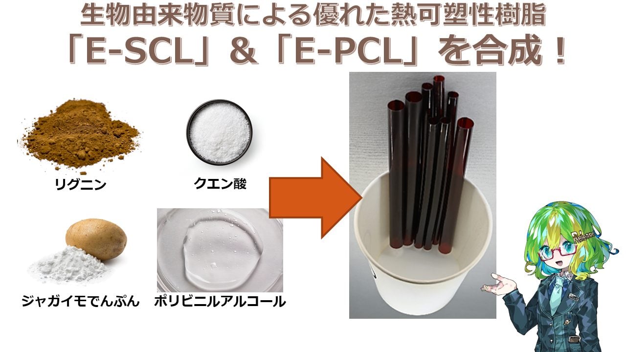 植物由来物質でできたプラスチックのような材料「E-SCL」「E-PCL」を