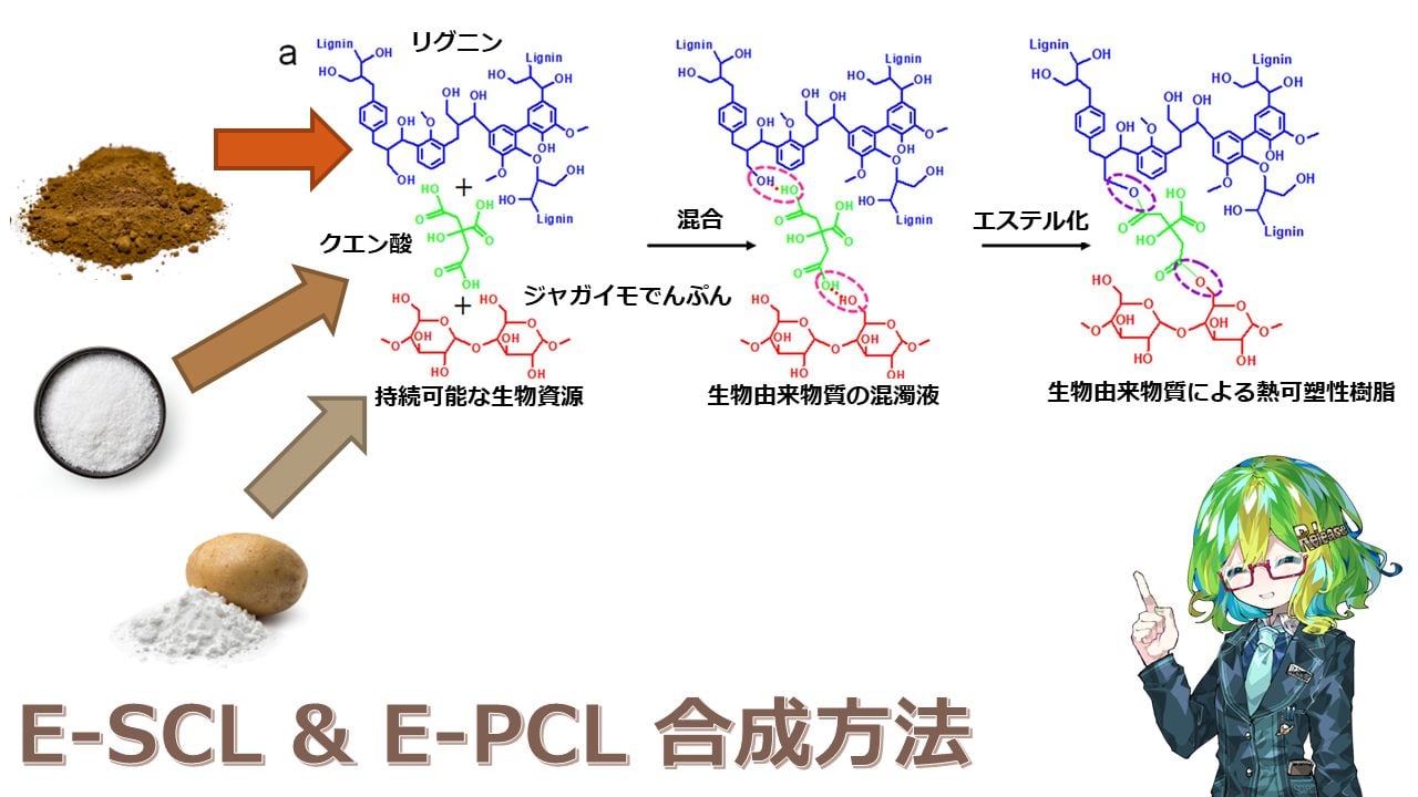 植物由来物質でできたプラスチックのような材料「E-SCL」「E-PCL」を合成 - Lab BRAINS